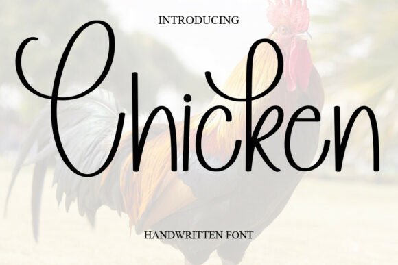 Discover Chicken: A Sweet and Cursive Handwritten Font